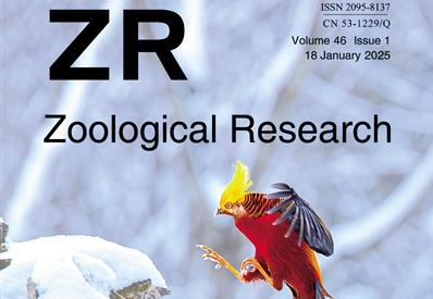[Science and Technology Daily] 'ZR: Publishing Model from 'Vessel Chartering' to 'Ship Owning''