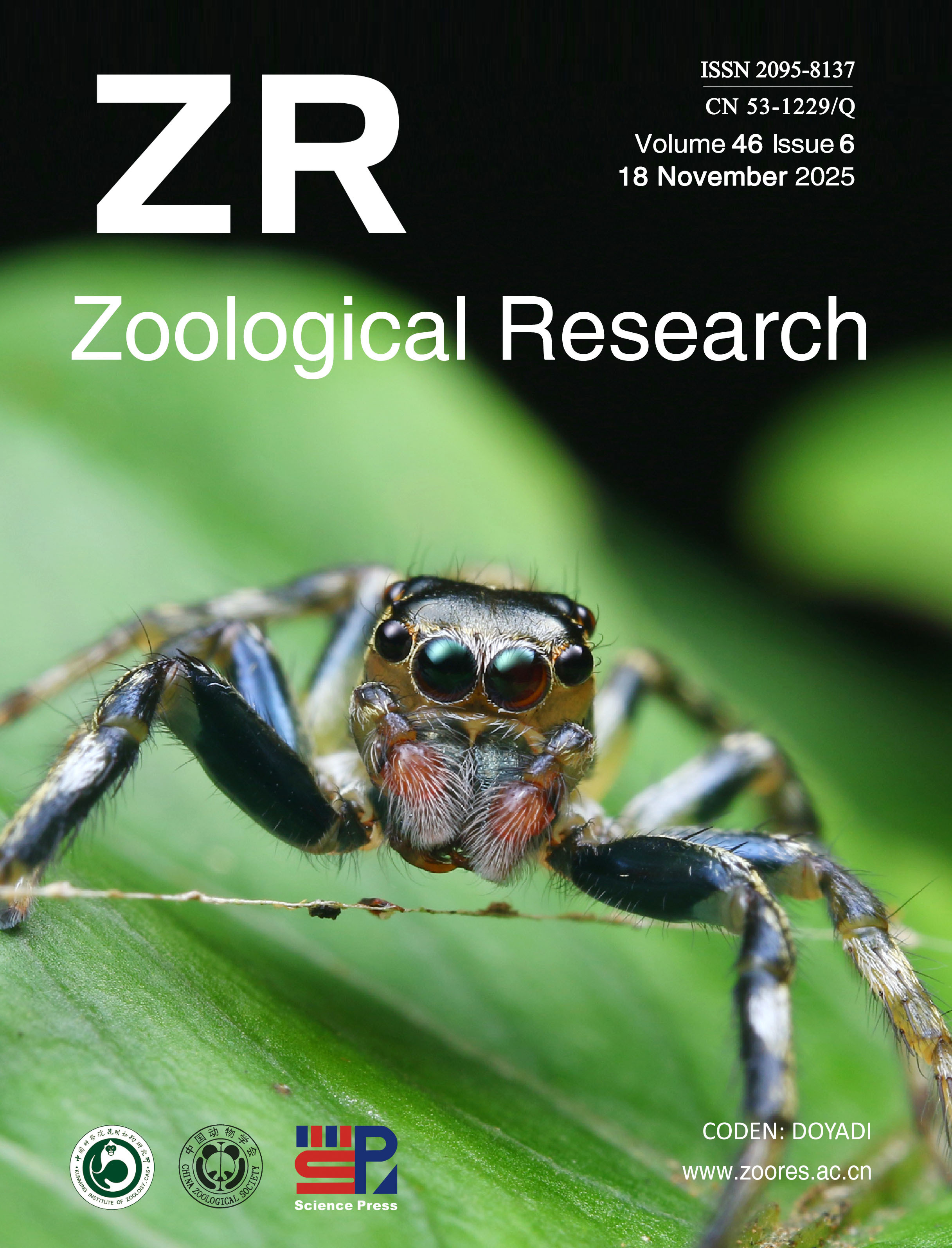 Zoological Research (ZR) 