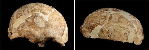 The first Late Pleistocene human DNA from southwestern China reveals Native Americans’ East Asian ancestry