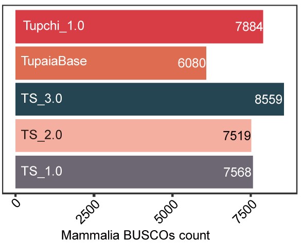 New version of Chinese tree shrew genome annotation was released